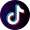 Tiktok icon